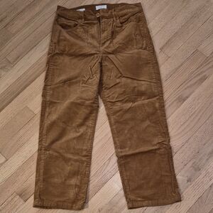 LOFT Women's Corduroy Pants in Warm Brown